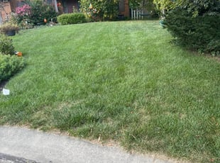Closter Nj Landscaping From 29 1 Landscapers Best Of 2021