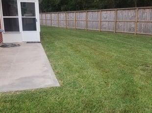 Columbia Sc Lawn Care Service Lawn Mowing From 19 Rated Best 2021