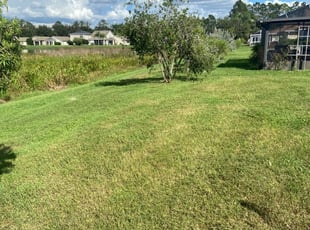 1 Columbus Oh Lawn Care Service Lawn Mowing From 19 Best 2021