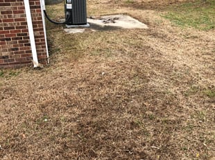 creekside lawn care on Commerce City Co Lawn Care Service Lawn Mowing From 19 Rated Best 2021