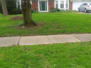 creekside lawn care on Eglvvi0wfx9cem