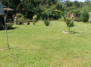 Covington Ga Landscaping From 29 1 Landscapers Best Of 2021
