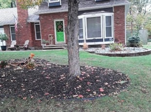 1 Crown Point In Lawn Care Service Lawn Mowing From 19 Best 2021