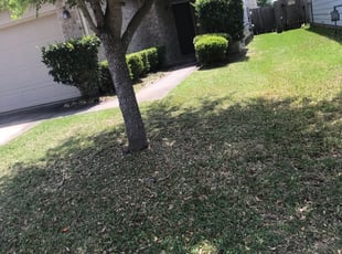 Cumming Ga Lawn Care Service Lawn Mowing From 19 Rated Best 2021