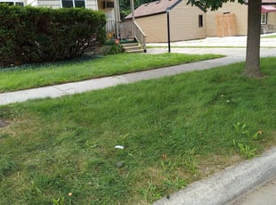 Cumming Ga Lawn Care Service Lawn Mowing From 19 Rated Best 2021