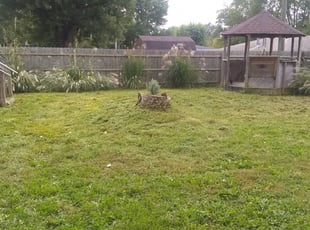Dallas Ga Landscaping From 29 1, Unlimited Landscaping & Lawn Care Services Buford Ga