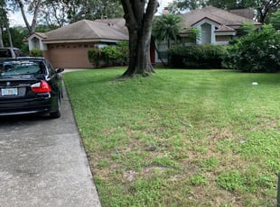 Dawsonville Ga Lawn Care Service Lawn Mowing From 19 Rated Best 2021