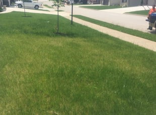 1 Decatur Ga Lawn Care Service Lawn Mowing From 19 Best 2021