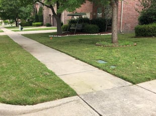 1 Denver Co Lawn Care Service Lawn Mowing From 19 Best 2021