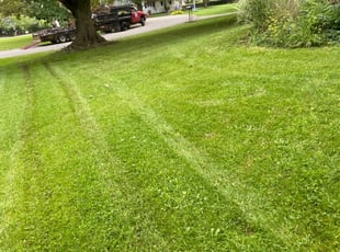 Aménagement paysager des plaines