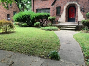 Detroit Mi Lawn Care Service Lawn Mowing From 19 Rated Best 2021