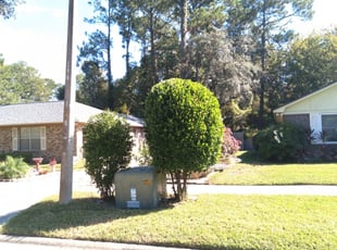 Easley Sc Landscaping From 29 1, Lewey Landscaping Raleigh Nc