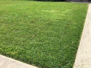 John S.'s Landscaping service in POWER MAINTENANC