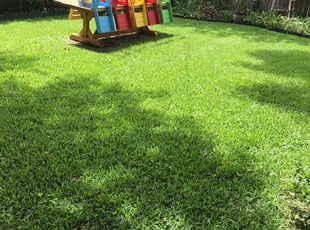 Gerard M.'s Landscaping service in Gallardo's home services and maintenance