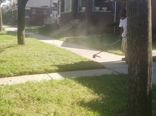 Samantha L.'s Landscaping service in Southwest landscaping
