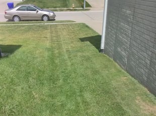 Michael H.'s Landscaping service in POWER MAINTENANC