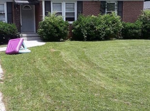 Brent B.'s Landscaping service in POWER MAINTENANC