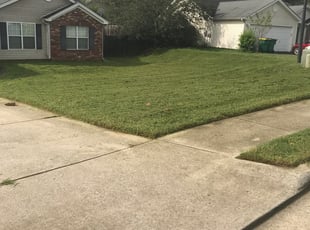 Mariana S.'s Landscaping service in POWER MAINTENANC