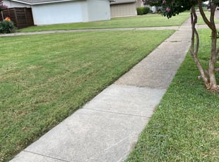 Elmhurst, IL Lawn Care Service | Lawn Mowing from $19 | Best ...