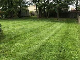 Robert S.'s Lawn Maintenance service in Diggins into your lawn and mor