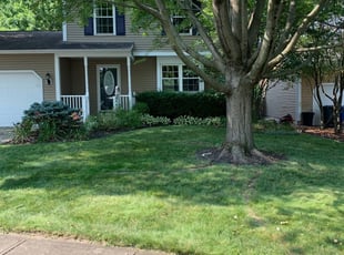 Jeff C.'s Lawn Service service in Dave' Lawncare