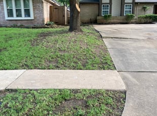 clayton j.'s Lawn Service service in Johnny Blades & More LLC