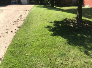 Charles P.'s Lawn Maintenance service in Dave' Lawncare