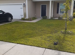 Wayne R.'s Lawn Mowing service in Dave' Lawncare