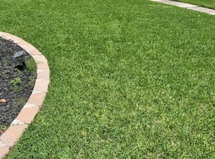 Encinitas Ca Landscaping From 29 1 Landscapers Best Of 2021