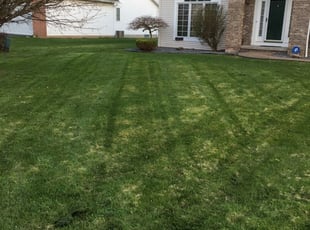 Landscaping ephrata pa