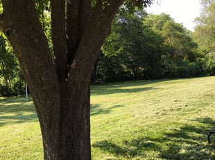 Correy E.'s Landscaping service in Stangeland & Associates Inc