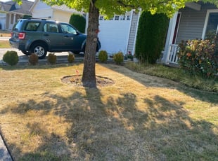 Janis H.'s Landscaping service in Stangeland & Associates Inc