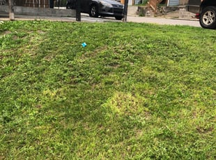 Conal G.'s Landscaping service in Stangeland & Associates Inc