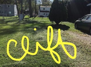Christie H.'s Landscaping service in Stangeland & Associates Inc