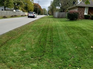 Mark B.'s Landscaping service in Stangeland & Associates Inc