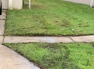 Andrea R.'s Lawn Mowing service in Grind It Out