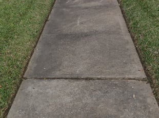 Samantha J.'s Grass Cutting service in RainCityLandscapes