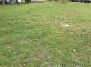 Michelle M.'s Lawn Care service in RainCityLandscapes