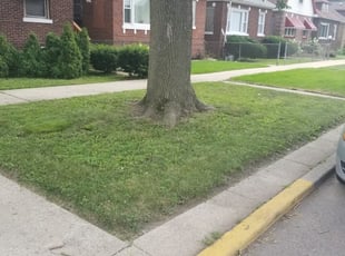 Quion W.'s Lawn Care service in Daryl's Lawns Solutions INC