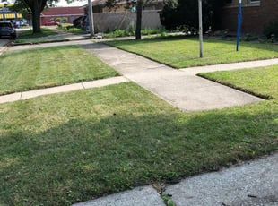 Jessica J.'s Lawn Care service in Daryl's Lawns Solutions INC