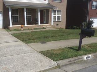 KRIS M.'s Lawn Service service in Daryl's Lawns Solutions INC