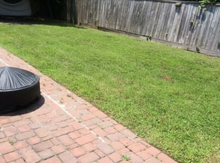 1 Fairfield Ct Lawn Care Service Lawn Mowing From 19 Best 2021