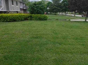 The #1 Lawn Care Service in Feasterville Trevose PA 2022 Lawn Mowing
