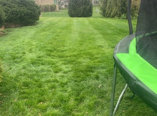 Fleming Island, FL Lawn Care Service | Lawn Mowing from ...