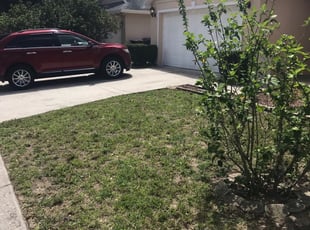 Fort Wayne, IN Landscaping from $29 | #1 Landscapers | Best of 2021