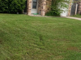 #1 Frankfort, IL Lawn Care Service | Lawn Mowing from $19 ...