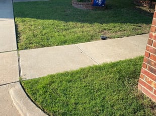 Friendswood Tx Landscaping From 29 1 Landscapers Best Of 2021