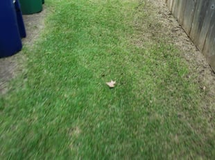 Friendswood Tx Landscaping From 29 1 Landscapers Best Of 2021