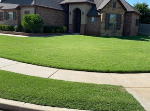 Friendswood Tx Lawn Care Service Lawn Mowing From 19 Rated Best 2021