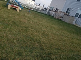 Front Royal, VA Lawn Care Service | Lawn Mowing from $19 ...
